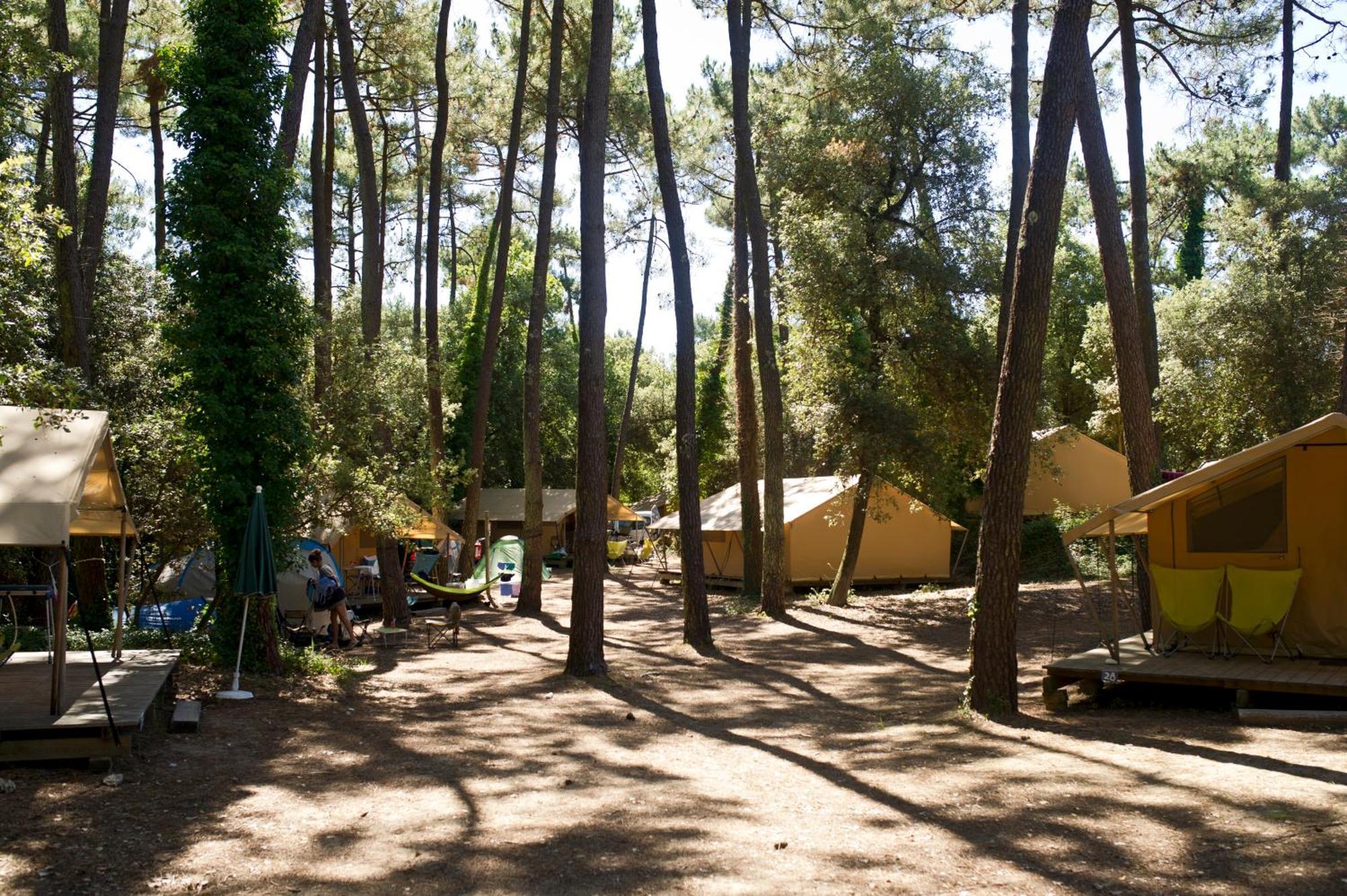 Huttopia Oleron Les Chenes Verts Dolus d'Oléron Rum bild