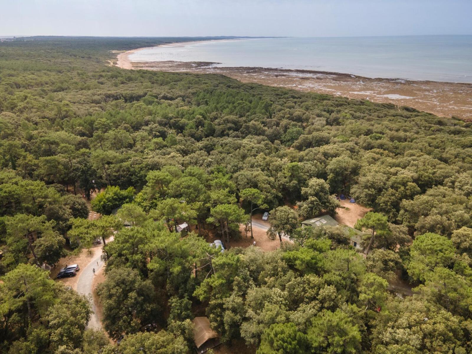 Huttopia Oleron Les Chenes Verts Dolus d'Oléron Exteriör bild