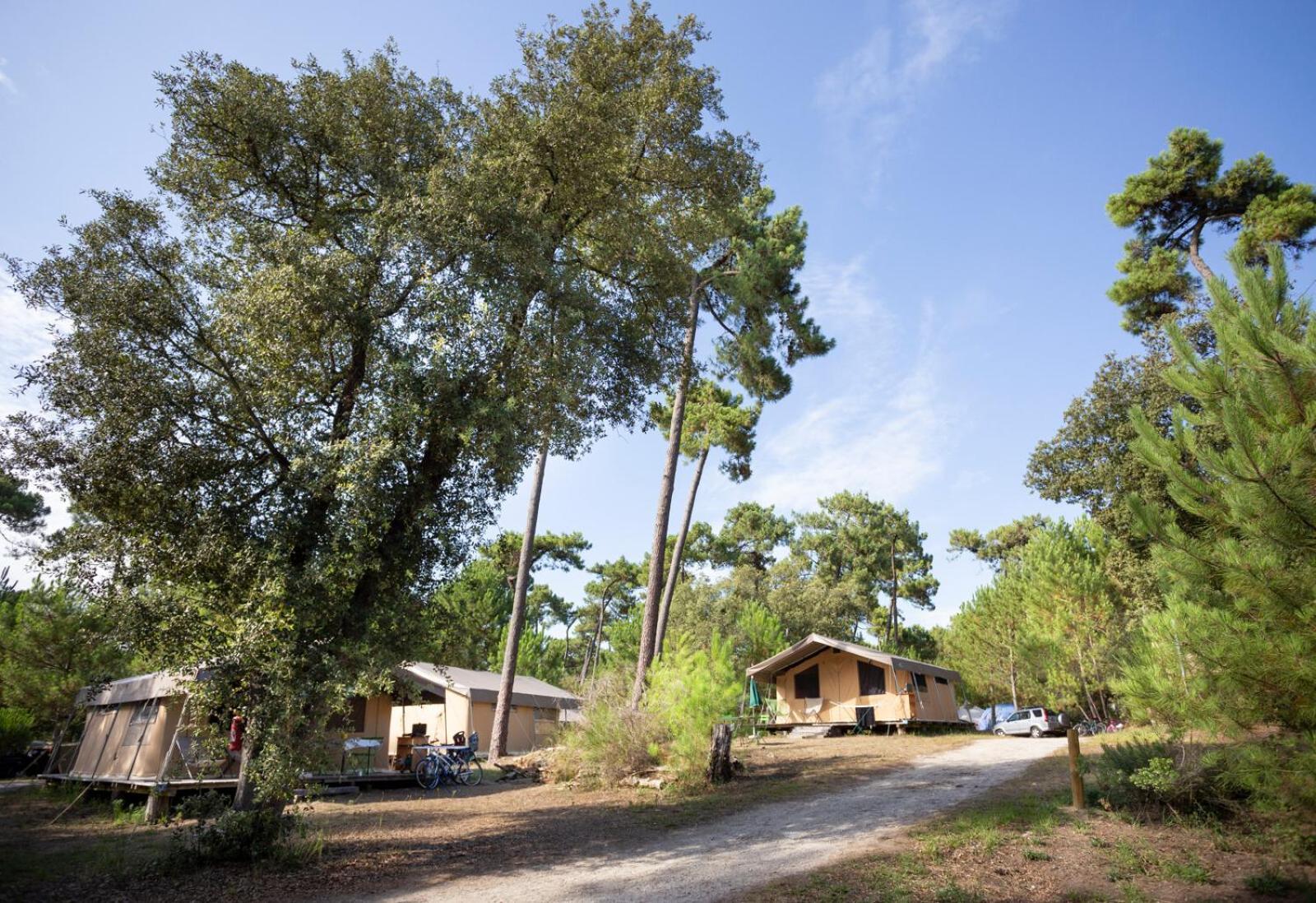 Huttopia Oleron Les Chenes Verts Dolus d'Oléron Exteriör bild